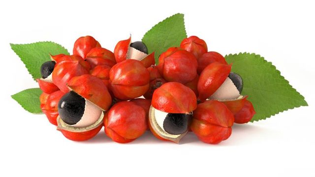 Guarana fruct